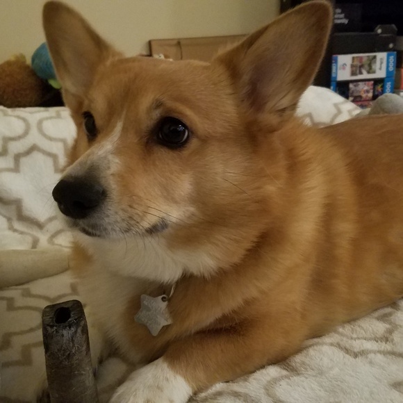 Meet your Posher, Sarah - Picture 5 of 6